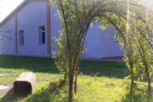 Cadelbosco 9