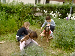 lavoro terra